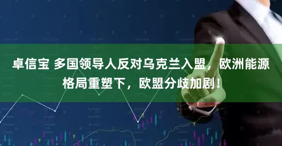 卓信宝 多国领导人反对乌克兰入盟，欧洲能源格局重塑下，欧盟分歧加剧！