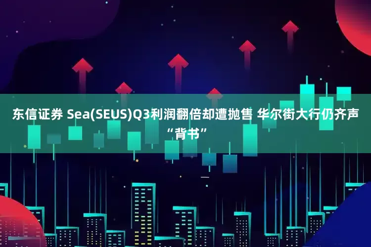 东信证券 Sea(SEUS)Q3利润翻倍却遭抛售 华尔街大行仍齐声“背书”